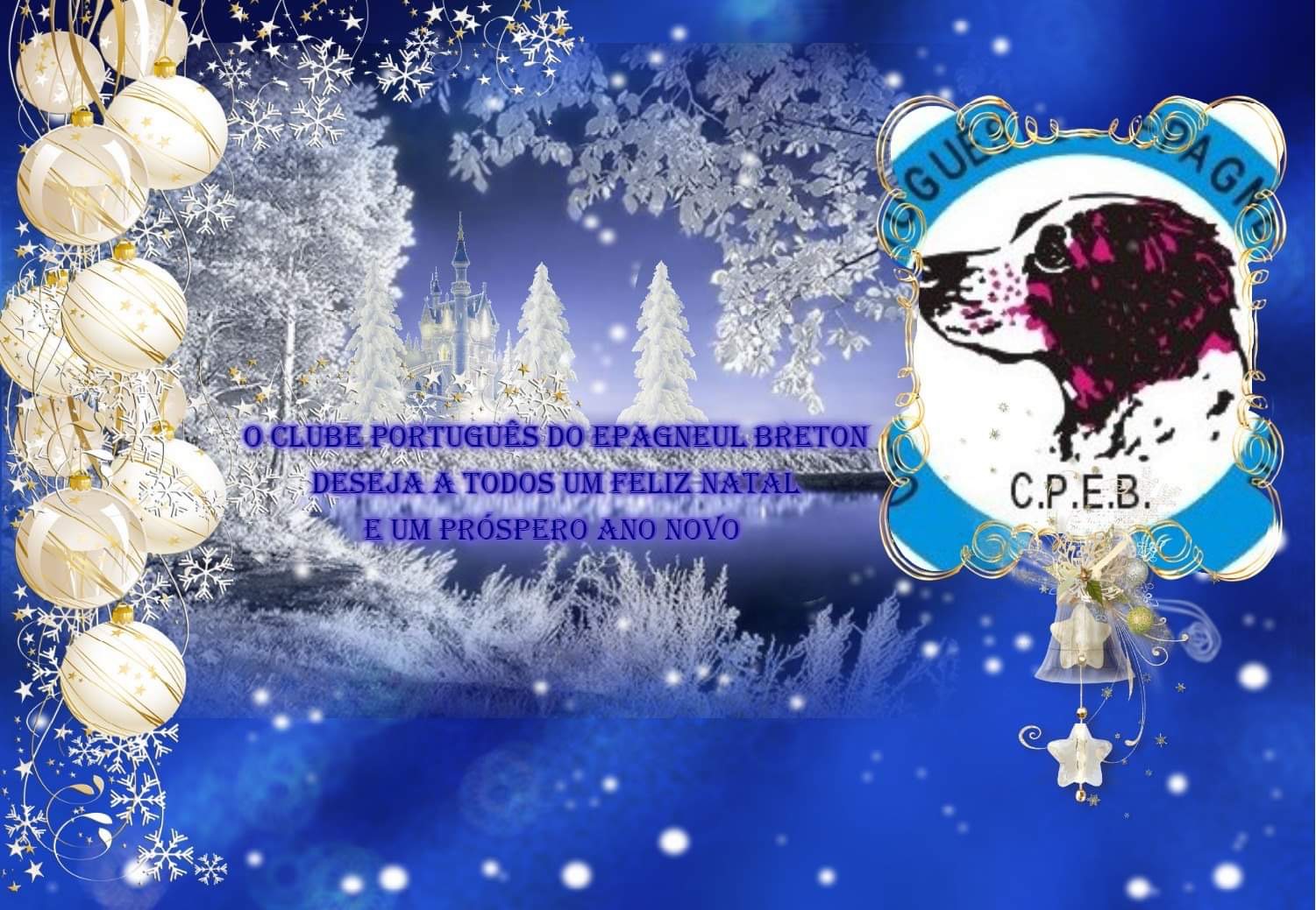 O Clube Português do Epagneul Breton deseja a todos um Feliz Natal e um Próspero Ano Novo de 2021.