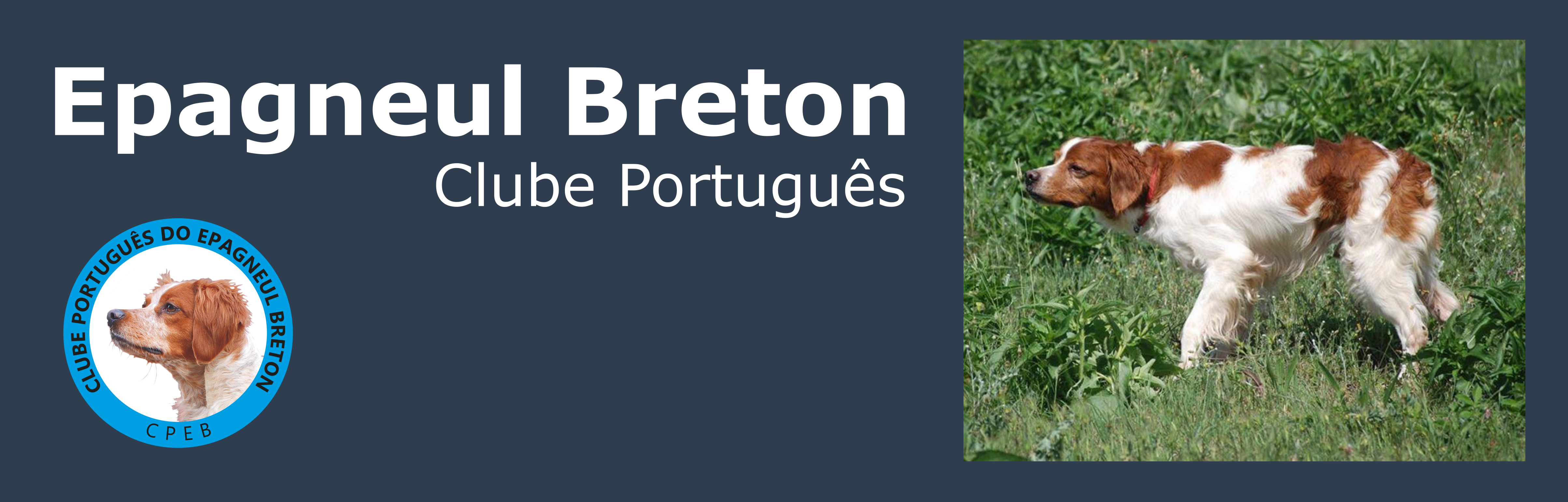 Melhor Breton da Monográfica