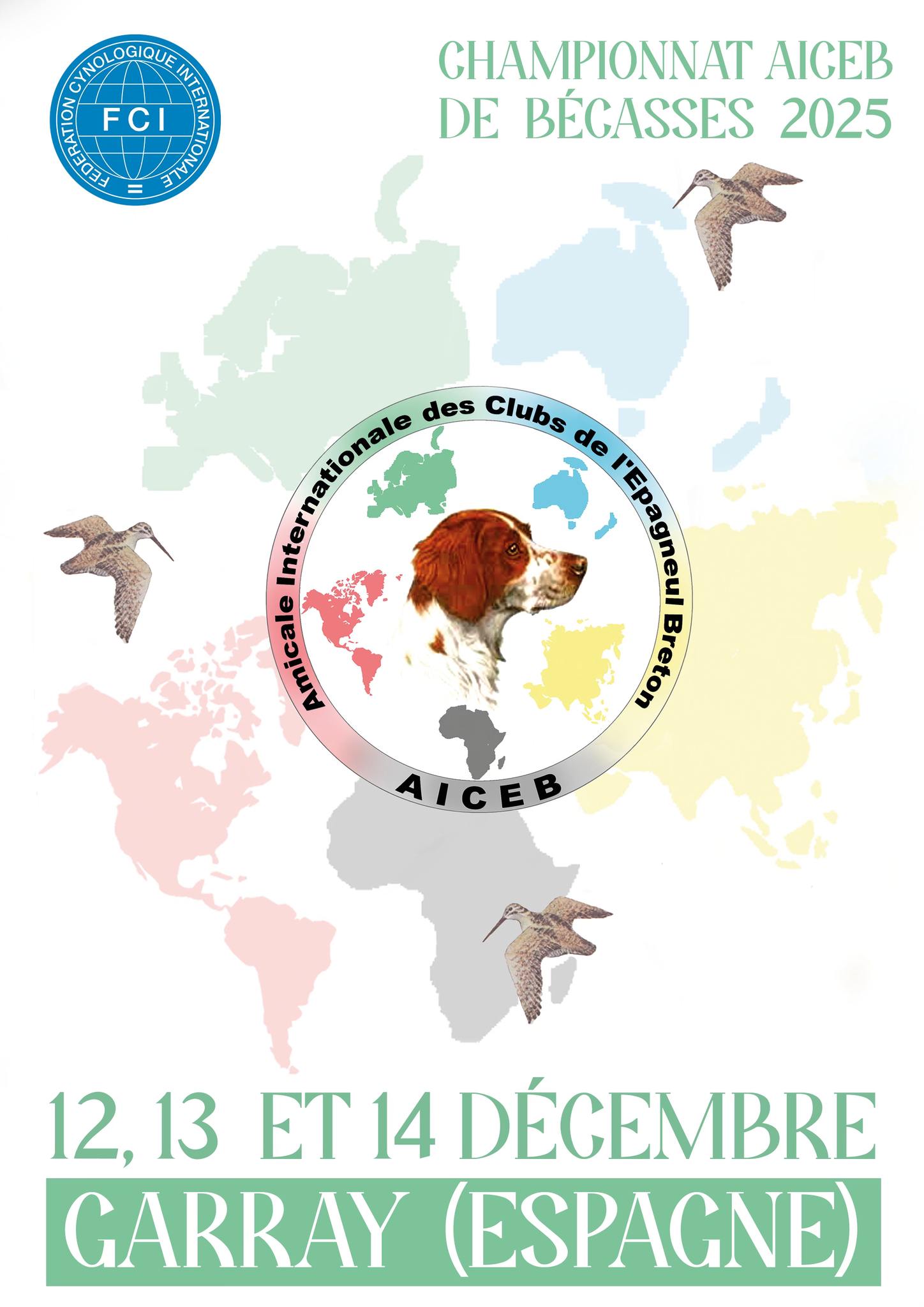 Campeonato Internacional Galinhola AiCEB - Garray - Espanha