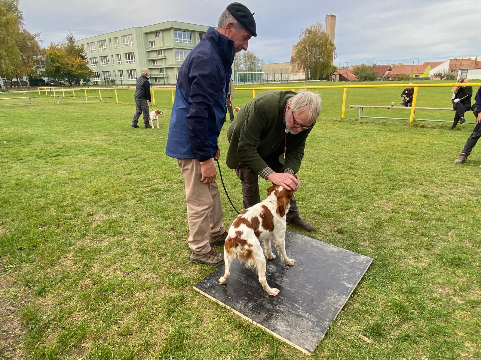 4c6629c8-618a-4e9f-9c01-3be39e8533da