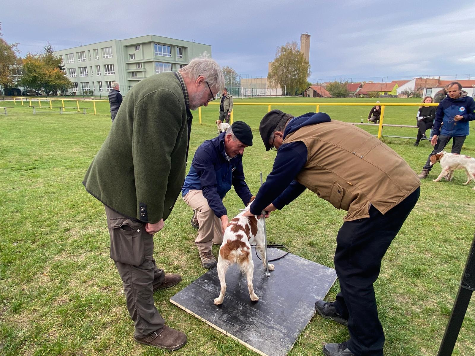 684c1ebc-d816-4b2b-955c-149b36cd06ff