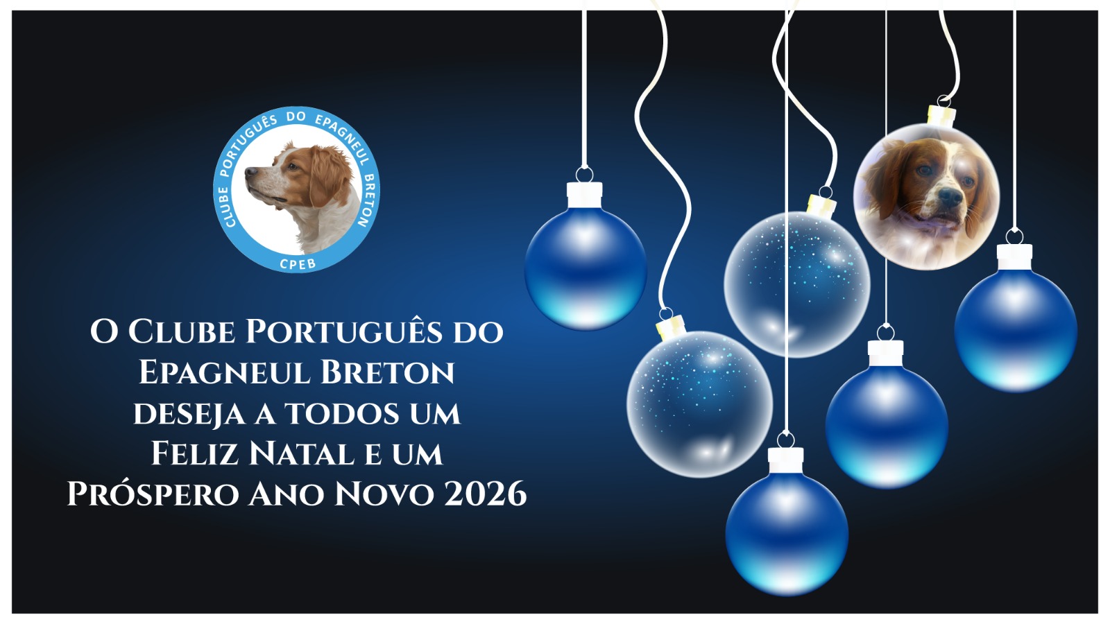 Feliz Natal e Próspero Ano Novo 2026.