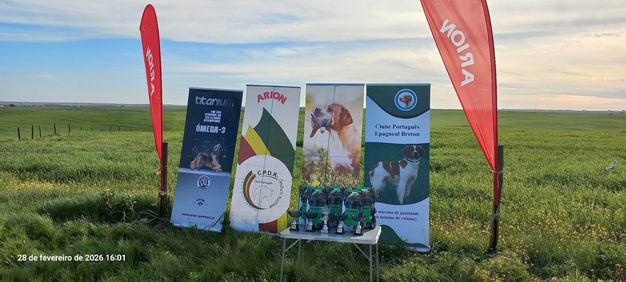 7c6f6199-9ffc-45c3-87a2-f437f7e222cc