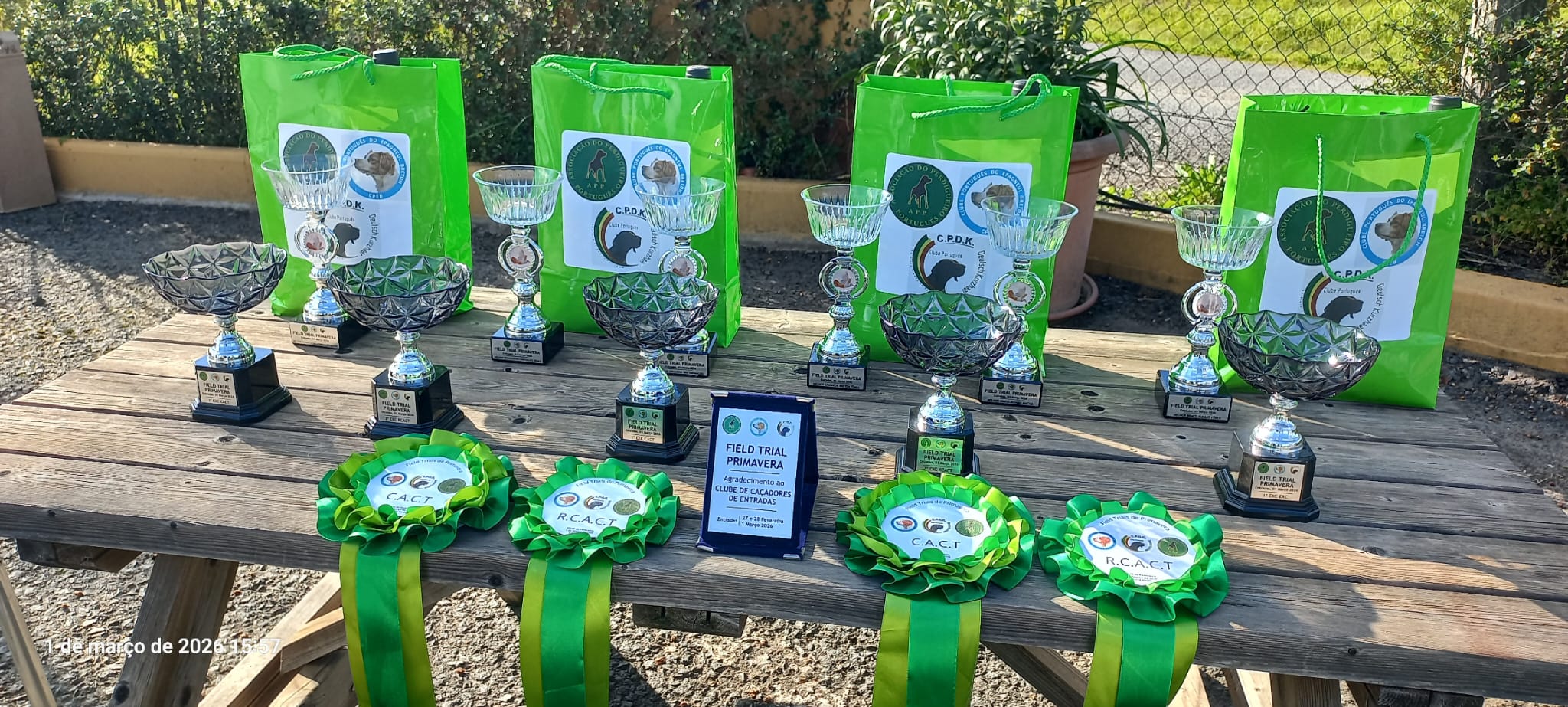 75b81b5e-722d-40d9-898d-6ecca0504718